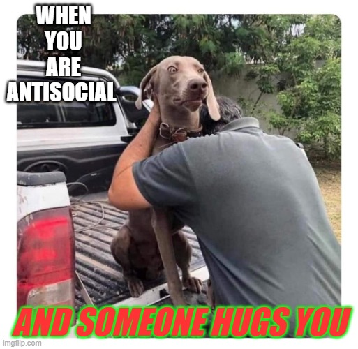 Anxiety dog | WHEN YOU ARE ANTISOCIAL; AND SOMEONE HUGS YOU | image tagged in hug | made w/ Imgflip meme maker