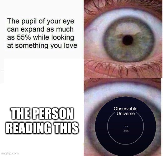 You guys can post wholesome things here too you know ? | THE PERSON READING THIS | image tagged in expanding eye,wholesome | made w/ Imgflip meme maker