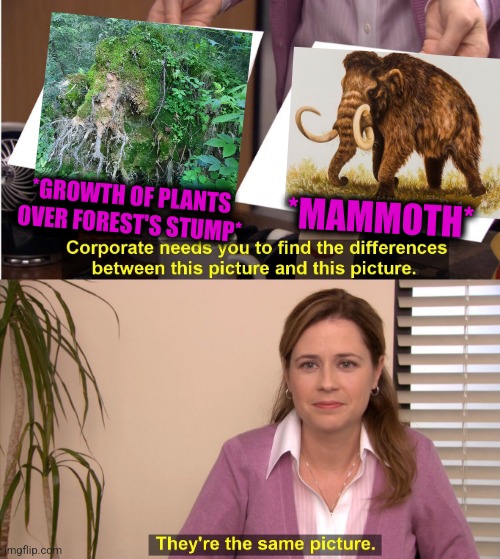 -At visiting nature. | *MAMMOTH*; *GROWTH OF PLANTS OVER FOREST'S STUMP* | image tagged in memes,they're the same picture,hairy legs,elephant in the room,ancient aliens dude,sunlit forest | made w/ Imgflip meme maker