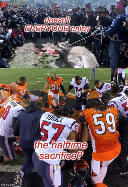 doesn't EVERYONE enjoy the halftime
sacrifice? | made w/ Imgflip meme maker