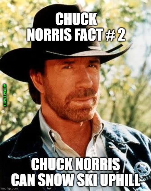 Chuck Norris Fact |  CHUCK NORRIS FACT # 2; AARDVARK RATNIK; CHUCK NORRIS CAN SNOW SKI UPHILL | image tagged in memes,chuck norris,funny memes,cowboy,joke | made w/ Imgflip meme maker