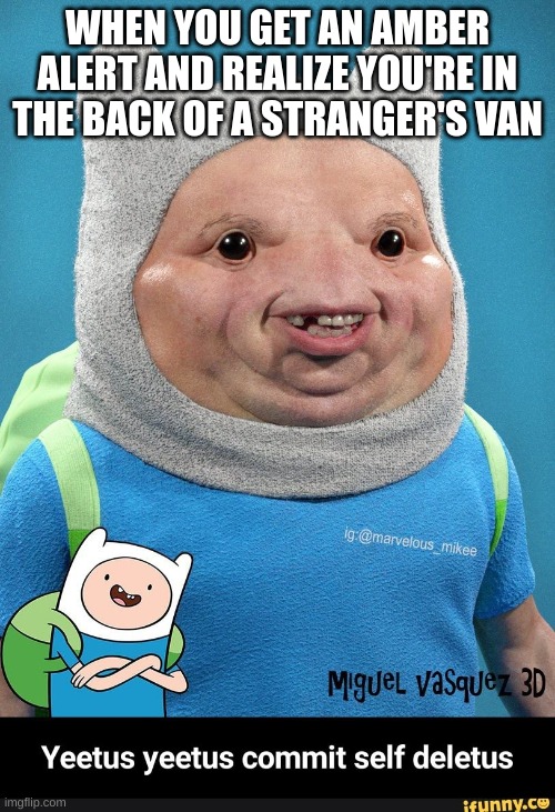 My final meme before I retire in MSMG | WHEN YOU GET AN AMBER ALERT AND REALIZE YOU'RE IN THE BACK OF A STRANGER'S VAN | image tagged in but this,finn the human,dark humor | made w/ Imgflip meme maker