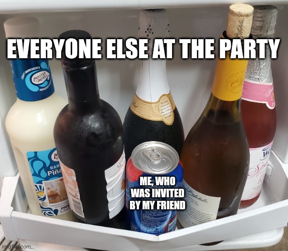 Can be used like gamg bang, I guess... https://imgflip.com/i/6nrjol | EVERYONE ELSE AT THE PARTY; ME, WHO WAS INVITED BY MY FRIEND | image tagged in wine bottles and a can of soda,new template | made w/ Imgflip meme maker