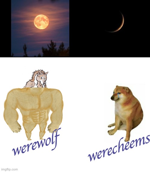 Buff Doge vs. Cheems | werewolf; werecheems | image tagged in memes,buff doge vs cheems | made w/ Imgflip meme maker