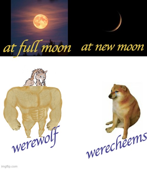 Be-were |  at new moon; at full moon; werewolf; werecheems | image tagged in memes,buff doge vs cheems | made w/ Imgflip meme maker