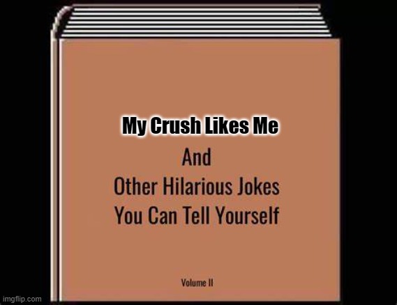 lies | My Crush Likes Me | image tagged in funny meme | made w/ Imgflip meme maker