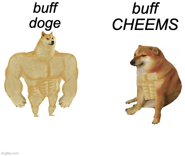 Finally, perfection! (Streams link in comments) |  buff
doge; buff
CHEEMS | image tagged in memes,buff doge vs cheems,swole,strong,cheems,advertisement | made w/ Imgflip meme maker