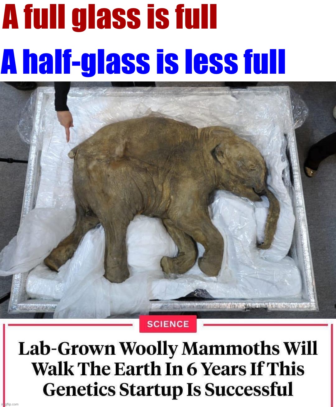 The future is here, and it’s terrible, I wanna go back | A half-glass is less full; A full glass is full | image tagged in lab-grown woolly mammoths | made w/ Imgflip meme maker
