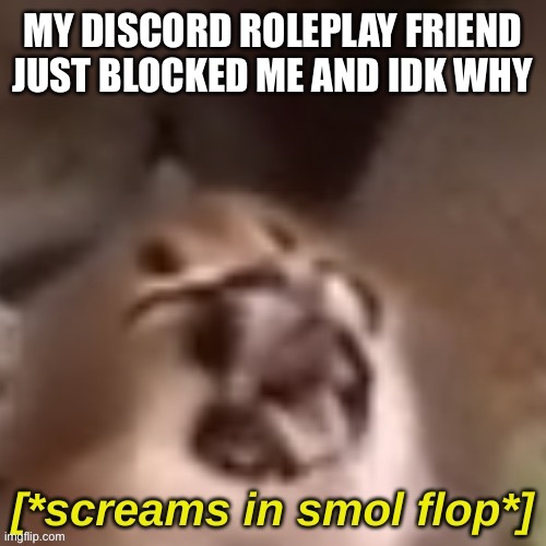 screams in smol flop | MY DISCORD ROLEPLAY FRIEND JUST BLOCKED ME AND IDK WHY | image tagged in screams in smol flop | made w/ Imgflip meme maker