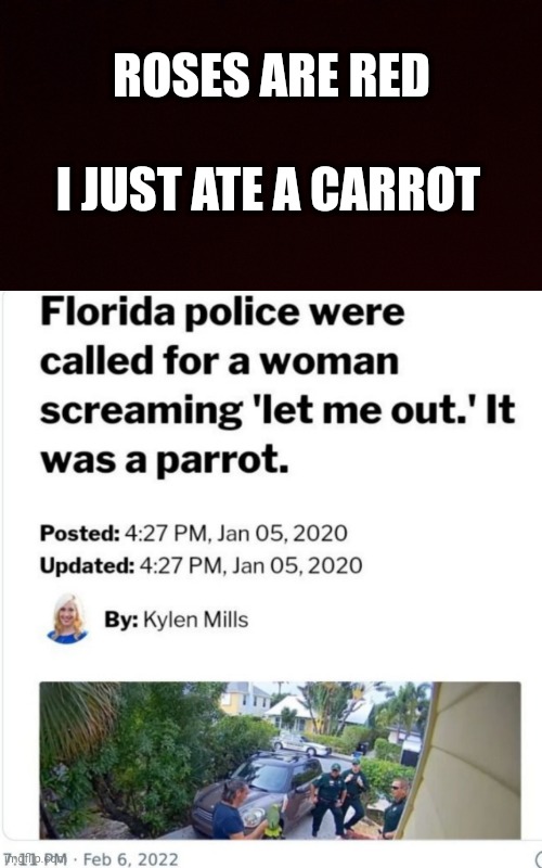 Huh | ROSES ARE RED; I JUST ATE A CARROT | image tagged in roses are red,memes,funny | made w/ Imgflip meme maker