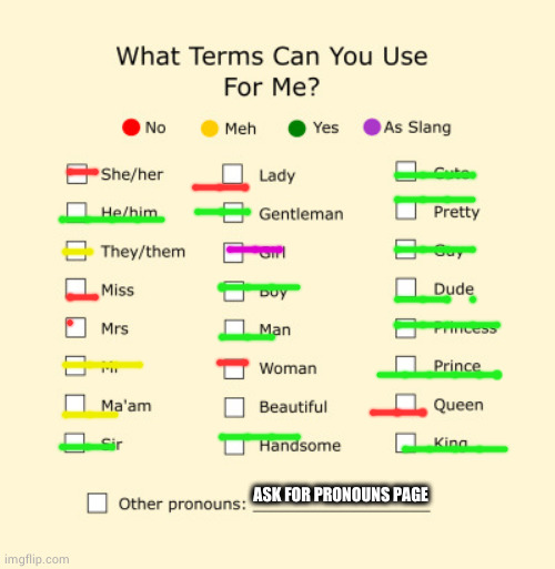 Pronouns Sheet | ASK FOR PRONOUNS PAGE | image tagged in pronouns sheet | made w/ Imgflip meme maker