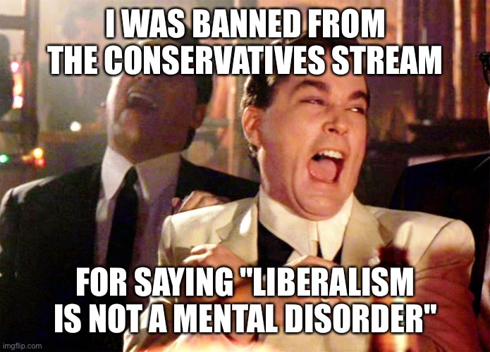 So much for conservatives caring about facts | I WAS BANNED FROM THE CONSERVATIVES STREAM; FOR SAYING "LIBERALISM IS NOT A MENTAL DISORDER" | image tagged in memes,good fellas hilarious | made w/ Imgflip meme maker