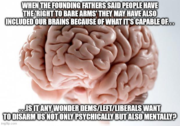 It's been said the human brain is the greatest weapon we have. | WHEN THE FOUNDING FATHERS SAID PEOPLE HAVE THE 'RIGHT TO BARE ARMS' THEY MAY HAVE ALSO INCLUDED OUR BRAINS BECAUSE OF WHAT IT'S CAPABLE OF. . . . . .IS IT ANY WONDER DEMS/LEFT/LIBERALS WANT TO DISARM US NOT ONLY PSYCHICALLY BUT ALSO MENTALLY? | image tagged in brain,freedom,scumbag government,2nd amendment | made w/ Imgflip meme maker