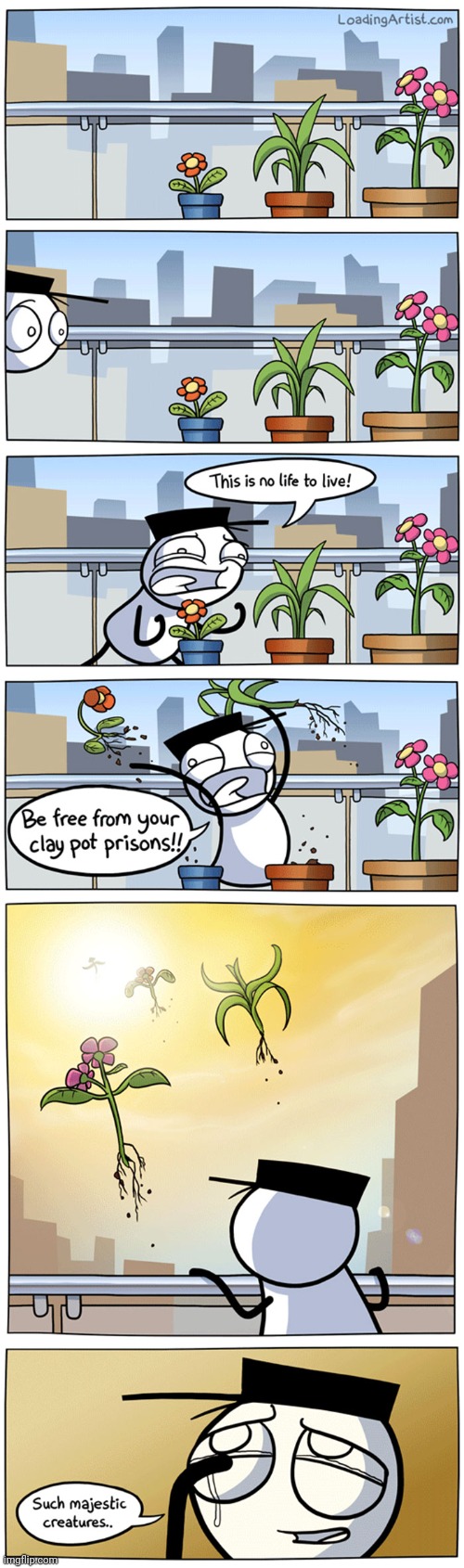 Plants | image tagged in plants,plant,flowers,flower,comics,comics/cartoons | made w/ Imgflip meme maker