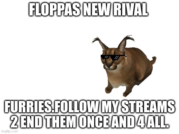 floppa vs furries (partygoer note: ky- ) | FLOPPAS NEW RIVAL; FURRIES.FOLLOW MY STREAMS 2 END THEM ONCE AND 4 ALL. | image tagged in floppa,rivalry | made w/ Imgflip meme maker