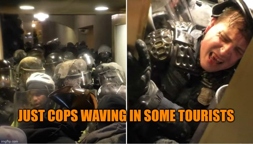 So lovely and special | JUST COPS WAVING IN SOME TOURISTS | image tagged in trump-instigated capitol riot | made w/ Imgflip meme maker