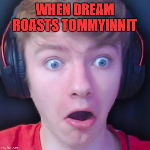 Tommyinnit | WHEN DREAM ROASTS TOMMYINNIT | image tagged in funny | made w/ Imgflip meme maker