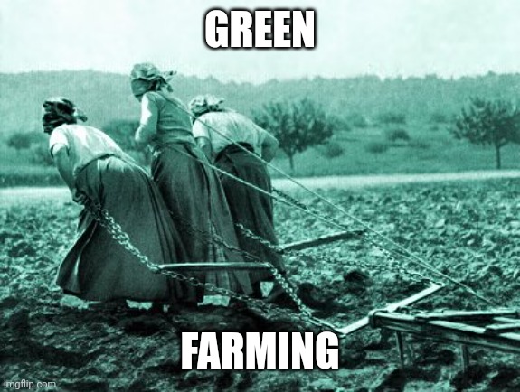 GREEN; FARMING | made w/ Imgflip meme maker