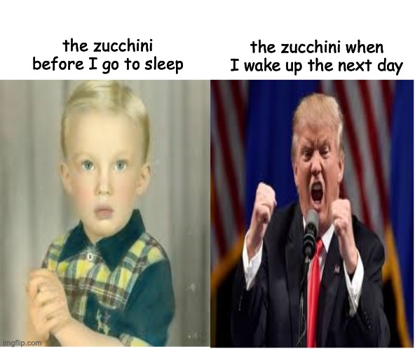 my zucchini grew bigly | the zucchini when I wake up the next day; the zucchini before I go to sleep | image tagged in how did this grow up to be this | made w/ Imgflip meme maker