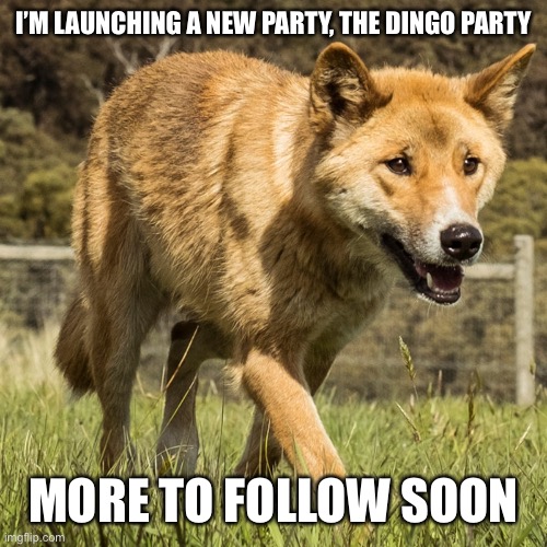 The Dingo Party: Turning politics upside down | I’M LAUNCHING A NEW PARTY, THE DINGO PARTY; MORE TO FOLLOW SOON | made w/ Imgflip meme maker