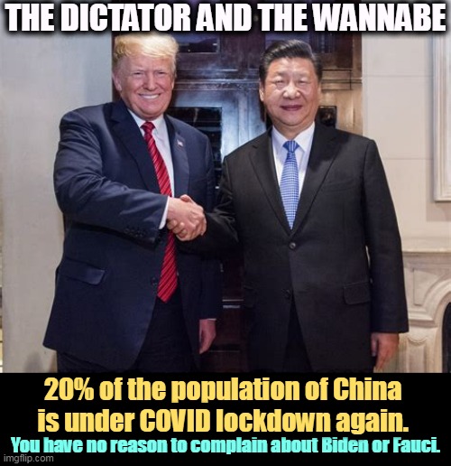One-fifth of the country is under lockdown.Their country, not ours. | THE DICTATOR AND THE WANNABE; 20% of the population of China 
is under COVID lockdown again. You have no reason to complain about Biden or Fauci. | image tagged in trump and xi - soft on china because trump owes them millions,china,dictator,trump,wannabe,covid | made w/ Imgflip meme maker