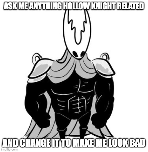 ASK ME ANYTHING HOLLOW KNIGHT RELATED; AND CHANGE IT TO MAKE ME LOOK BAD | made w/ Imgflip meme maker