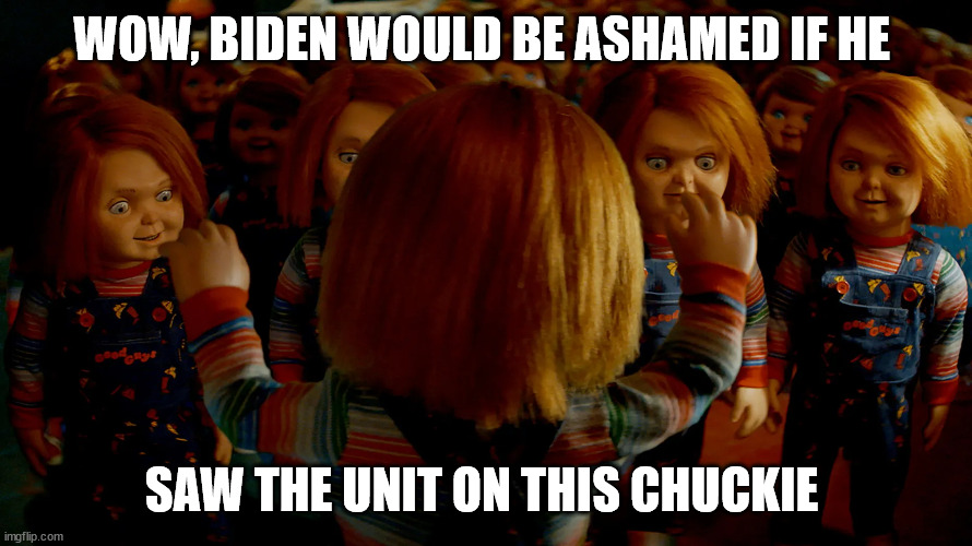 Chuckie | WOW, BIDEN WOULD BE ASHAMED IF HE; SAW THE UNIT ON THIS CHUCKIE | image tagged in funny | made w/ Imgflip meme maker