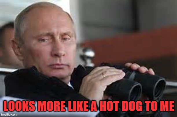 Putin Binoculars | LOOKS MORE LIKE A HOT DOG TO ME | image tagged in putin binoculars | made w/ Imgflip meme maker