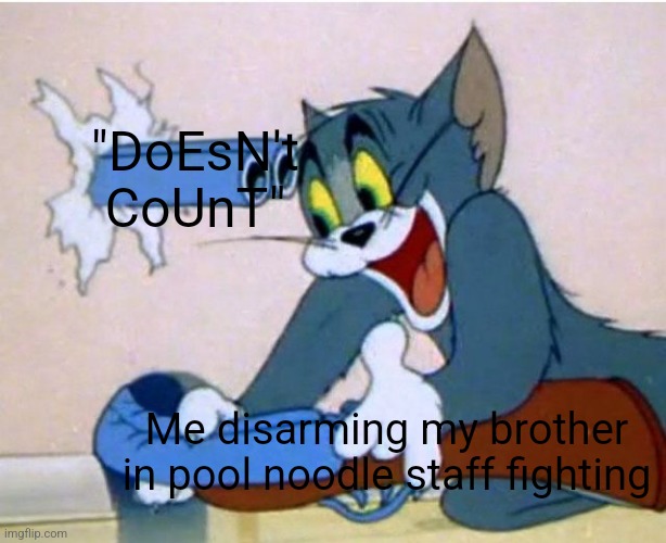 WHYYYYY | "DoEsN't CoUnT"; Me disarming my brother in pool noodle staff fighting | image tagged in tom and jerry | made w/ Imgflip meme maker