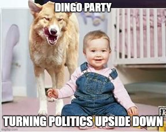 Dingositter | DINGO PARTY TURNING POLITICS UPSIDE DOWN | image tagged in dingositter | made w/ Imgflip meme maker