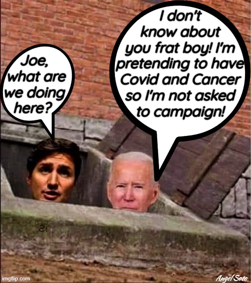 Trudeau and Biden in basement | I don't
know about
you frat boy! I'm
pretending to have
Covid and Cancer
so I'm not asked
to campaign! Joe,
 what are
we doing
here? Angel Soto | image tagged in joe biden,justin trudeau,midterms,elections,covid,cancer | made w/ Imgflip meme maker