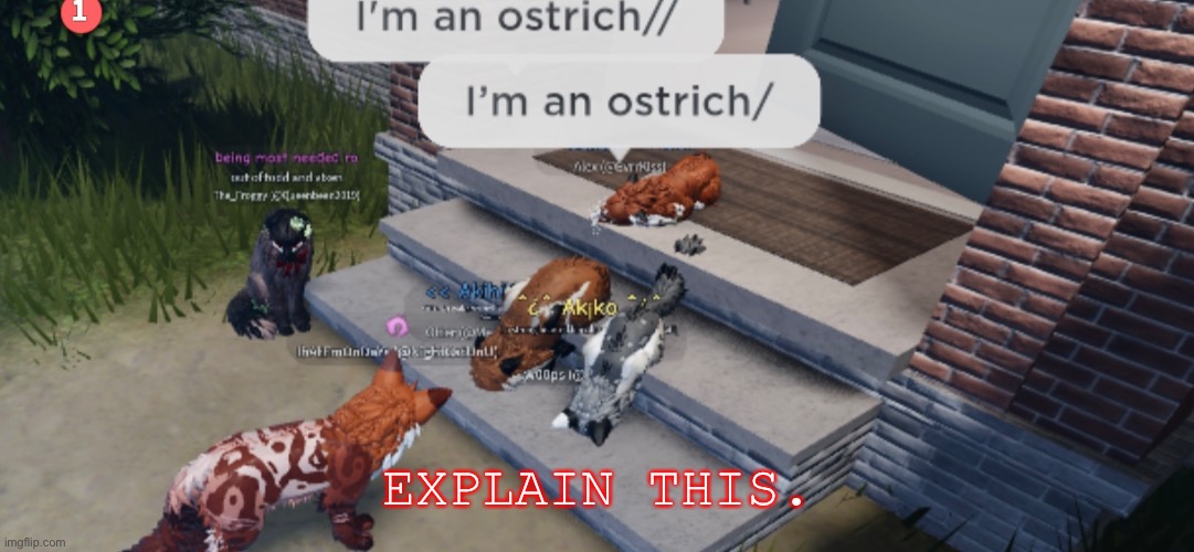 I’m an Ostrich | EXPLAIN THIS. | image tagged in wcue,cats,roblox | made w/ Imgflip meme maker