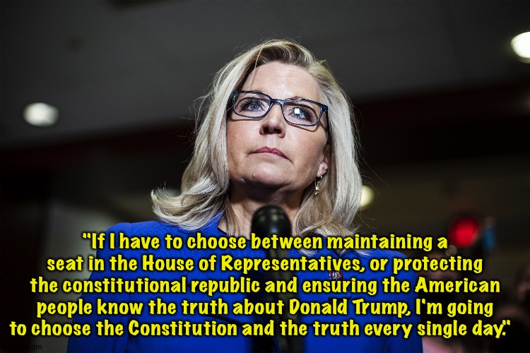 Liz Cheney leaves no doubt about her priorities | "If I have to choose between maintaining a seat in the House of Representatives, or protecting the constitutional republic and ensuring the American people know the truth about Donald Trump, I'm going to choose the Constitution and the truth every single day." | image tagged in liz cheney | made w/ Imgflip meme maker