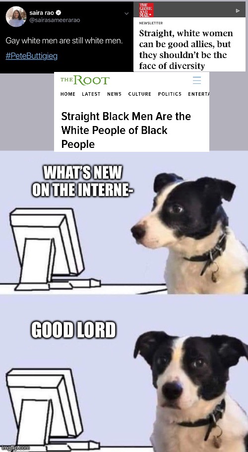 The SJWs are at it again | WHAT’S NEW ON THE INTERNE-; GOOD LORD | image tagged in good lord dog | made w/ Imgflip meme maker