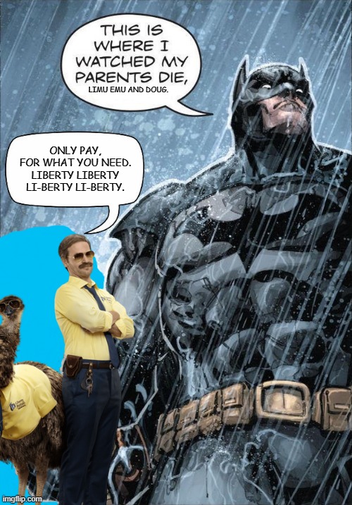 Only pay, for what You need. | LIMU EMU AND DOUG. ONLY PAY, FOR WHAT YOU NEED. LIBERTY LIBERTY LI-BERTY LI-BERTY. | image tagged in batman,liberty mutual,memes,parents,death | made w/ Imgflip meme maker