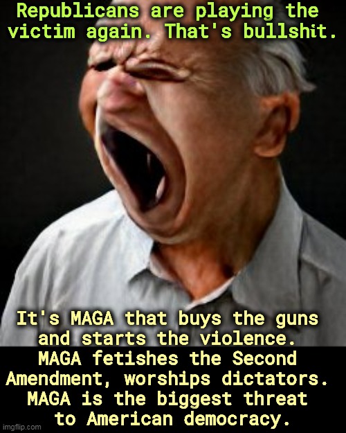 Republicans are playing the 
victim again. That's bullshἱt. It's MAGA that buys the guns 
and starts the violence. 
MAGA fetishes the Second 
Amendment, worships dictators. 
MAGA is the biggest threat 
to American democracy. | image tagged in maga,right wing,militia,republican,guns,violence | made w/ Imgflip meme maker