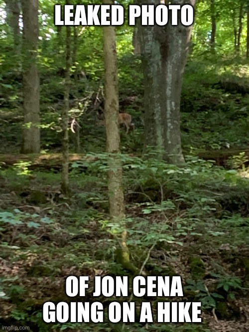 LEAKED PHOTO; OF JON CENA GOING ON A HIKE | image tagged in john cena | made w/ Imgflip meme maker