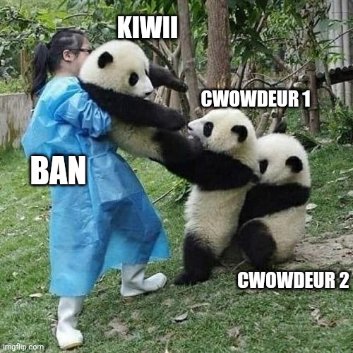 panda tug of war | KIWII; CWOWDEUR 1; BAN; CWOWDEUR 2 | image tagged in panda tug of war | made w/ Imgflip meme maker