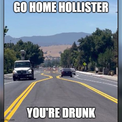 Hollister CA traffic calming | GO HOME HOLLISTER; YOU'RE DRUNK | image tagged in go home youre drunk,memes,roads | made w/ Imgflip meme maker
