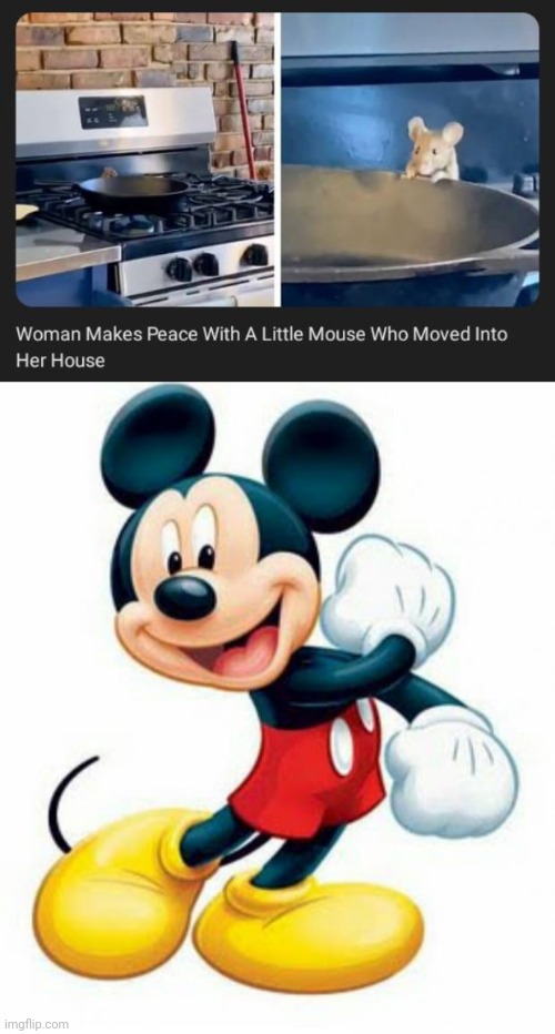 Mouse | image tagged in mickey mouse,mouse,news,memes,meme,house | made w/ Imgflip meme maker