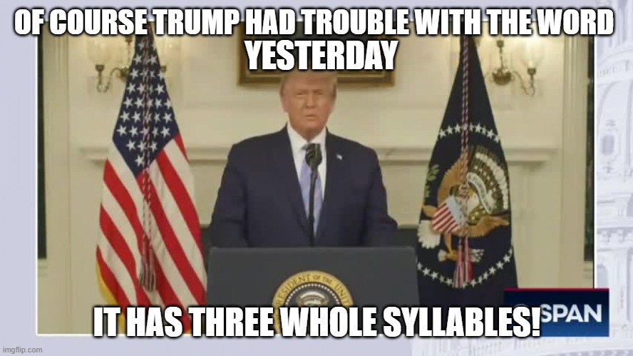 Trumpie | OF COURSE TRUMP HAD TROUBLE WITH THE WORD; YESTERDAY; IT HAS THREE WHOLE SYLLABLES! | image tagged in trumpie | made w/ Imgflip meme maker