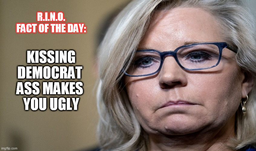 RINO fact | R.I.N.O. FACT OF THE DAY:; KISSING

DEMOCRAT 

ASS MAKES 

YOU UGLY | image tagged in rino,liz cheney,primary,election,j6 | made w/ Imgflip meme maker