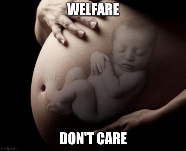 Pregnant Stomach | WELFARE DON'T CARE | image tagged in pregnant stomach | made w/ Imgflip meme maker