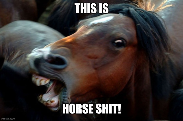 angry horse | THIS IS HORSE SHIT! | image tagged in angry horse | made w/ Imgflip meme maker