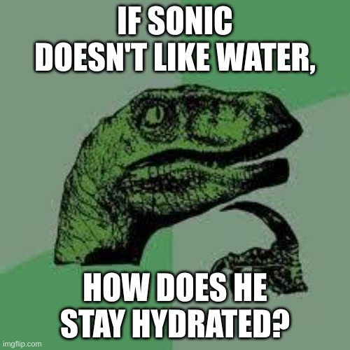 Dinosaur | IF SONIC DOESN'T LIKE WATER, HOW DOES HE STAY HYDRATED? | image tagged in dinosaur | made w/ Imgflip meme maker
