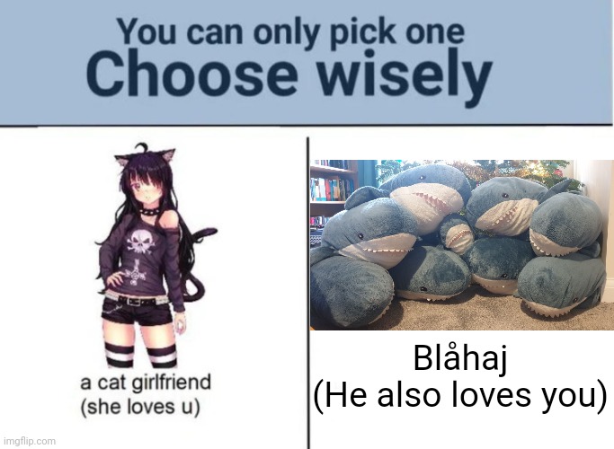 Choose wisely | Blåhaj
(He also loves you) | image tagged in choose wisely | made w/ Imgflip meme maker