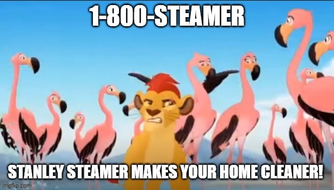 Garbage | 1-800-STEAMER STANLEY STEAMER MAKES YOUR HOME CLEANER! | image tagged in garbage | made w/ Imgflip meme maker