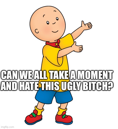 Mod note: he isn't ugly, he is cancer'd | CAN WE ALL TAKE A MOMENT AND HATE THIS UGLY BITCH? | image tagged in caillou | made w/ Imgflip meme maker