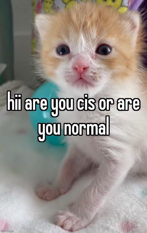 Hii | image tagged in /j lmao | made w/ Imgflip meme maker