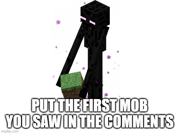 Blank White Template | PUT THE FIRST MOB YOU SAW IN THE COMMENTS | image tagged in blank white template | made w/ Imgflip meme maker